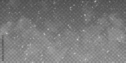 Vector snowfall isolated. Winter background. Snow overlay illustration. Snowflakes and ice.