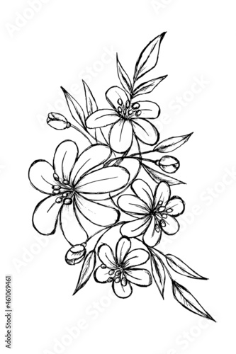 hand drawn sketch black and white leaves flower