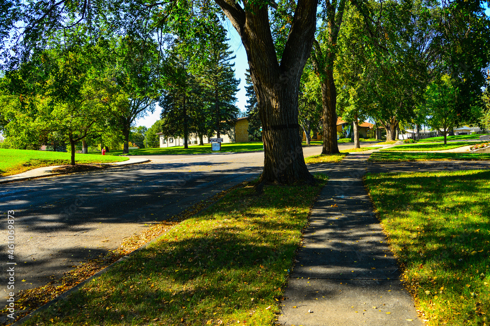 Obraz premium Modern homes line the streets in a neighborhood of Bismarck, North Dakota. 