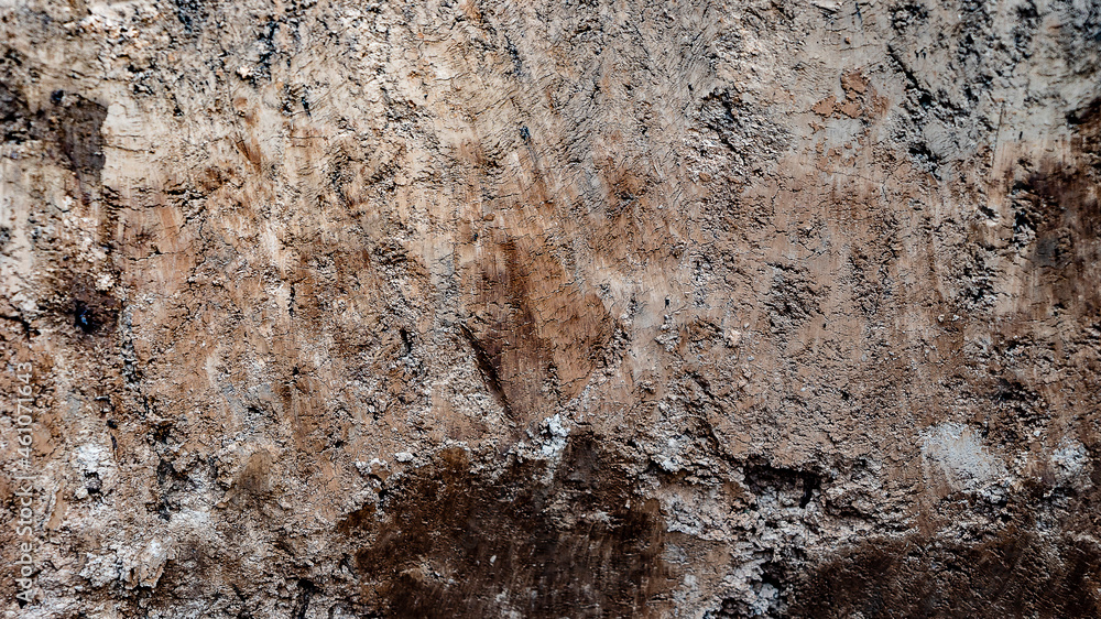 Naklejka premium Texture layers of earth. Cross section of brown underground soil layers beneath. Natural cut of soil with different layers