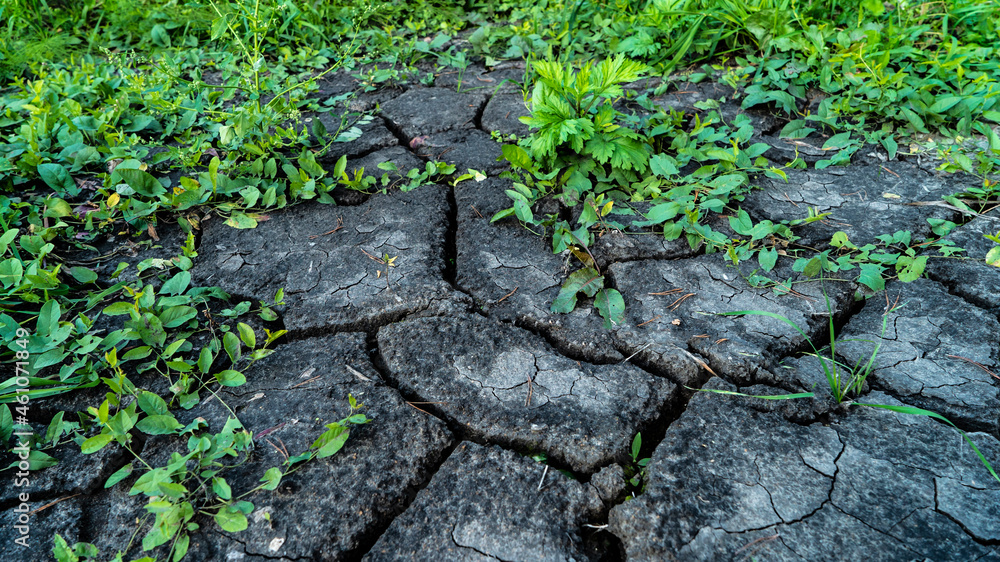 Spills of crude oil on the soil surface. Cracked textured ground. Dried technical waste is overgrown with green grass. Environment pollution. Illustrating global environmental and ecology problem Spills of crude oil on the soil surface. Cracked textured ground. Dried technical waste is overgrown with green grass. Environment pollution. Illustrating global environmental and ecology problem