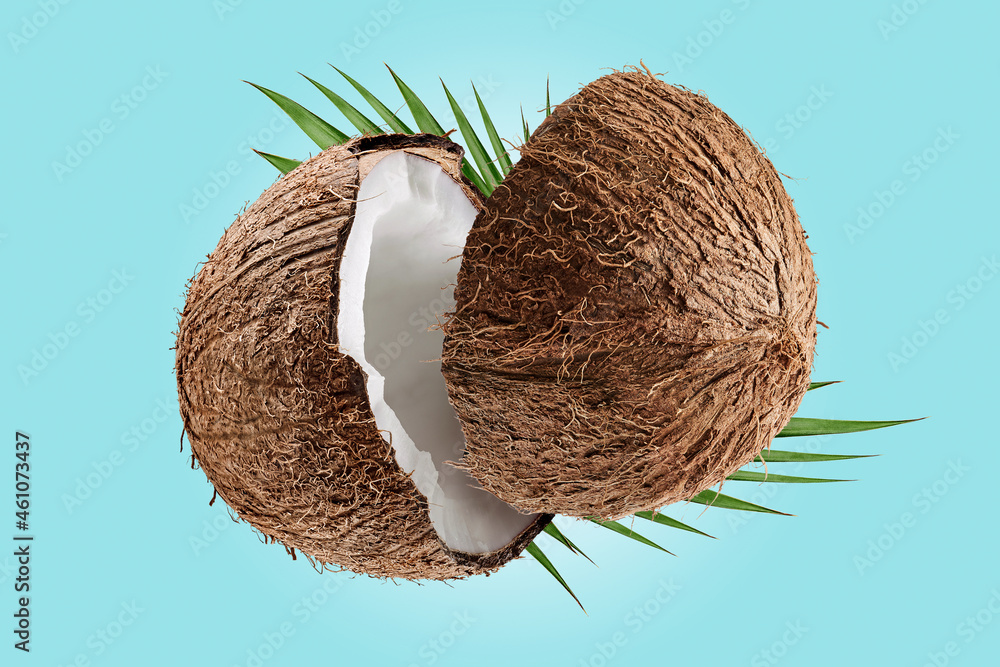 Outlet Coconut Break