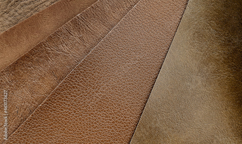 Fotografie close up of leather samples for upholstery