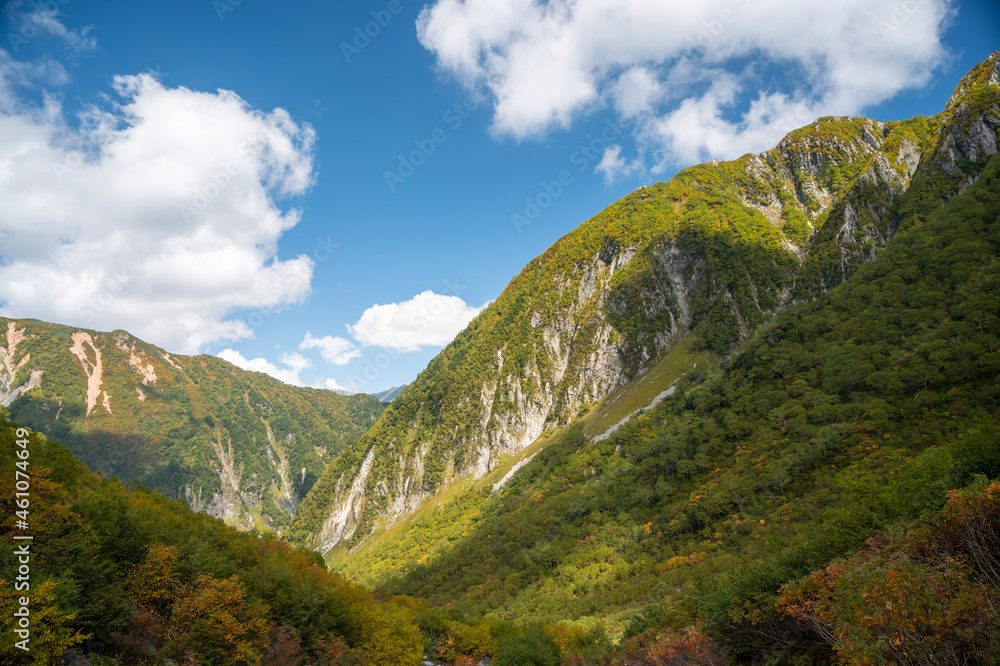 Obraz premium landscape with sky