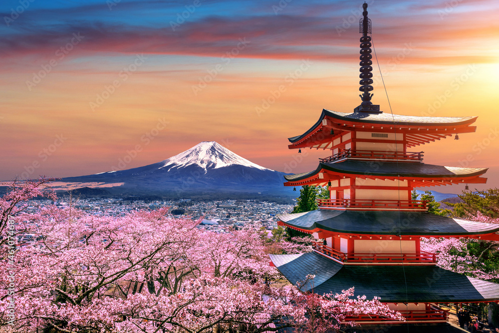 Fototapeta Sakura i góra Fuji