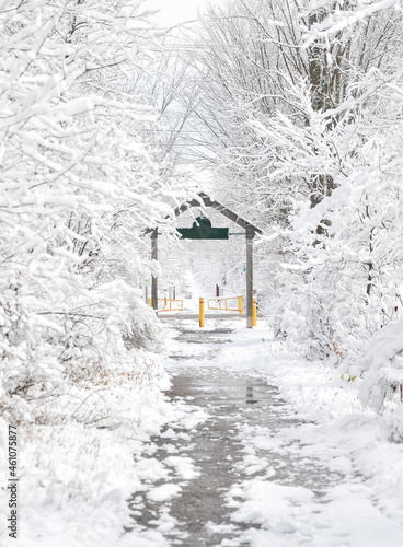 Wallpaper Mural Snowy path in a trail Torontodigital.ca