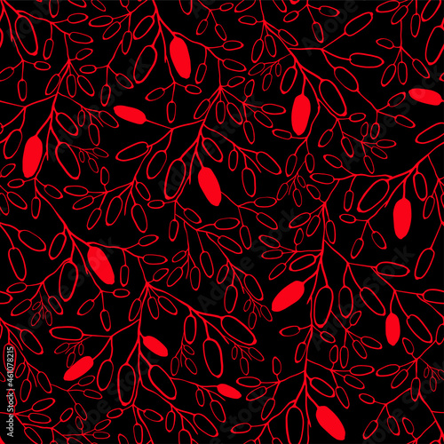 Barberry seamless pattern. Hand drawn berry background.