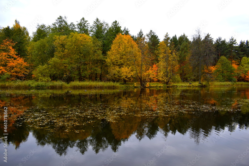 autumn trees reflected in water autumn trees reflected in water