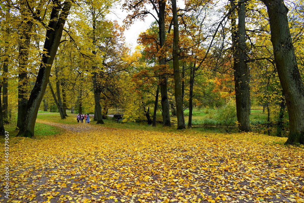 Obraz premium autumn in the park