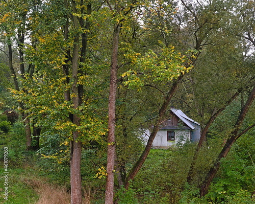 A house among a small grove.