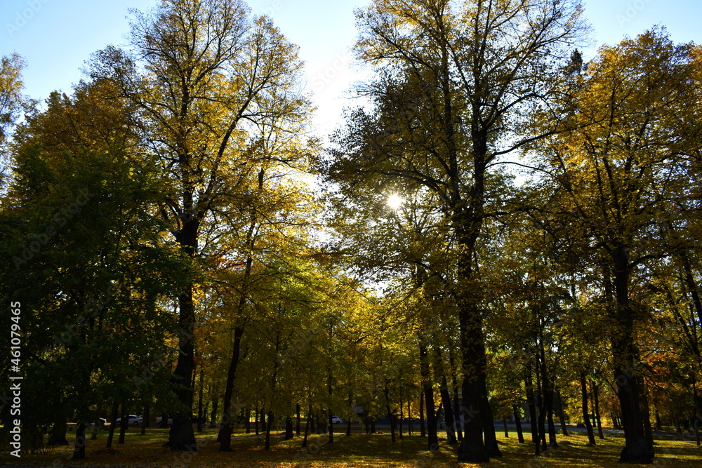 autumn in the park