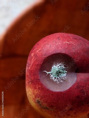 Red rotten nectarine in a wooden bowl