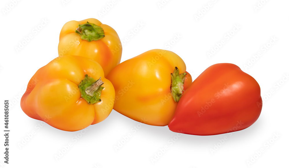 A group of peppers isolated on a white background.Juicy fresh peppers lying on a white background.It is intended for use for posters, labels and web design. A group of peppers isolated on a white background.Juicy fresh peppers lying on a white background.It is intended for use for posters, labels and web design.