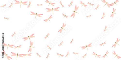Fairy rosy pink dragonfly isolated vector background. Spring vivid insects. Detailed dragonfly isolated dreamy illustration. Sensitive wings damselflies patten. Nature creatures
