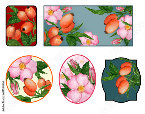 Rosehip, fruits and flowers. Rosehip labels, stickers for packaging decoration. Watercolor illustration