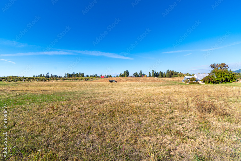 A picturesque country farm with barn, meadow, home and a vintage pickup truck in the field amid the rolling hills of the rural Green Bluff area of Spokane, Washington, USA.