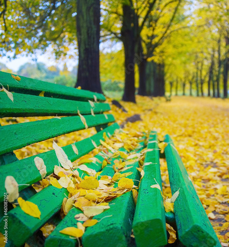 Bench autumn alley park fall