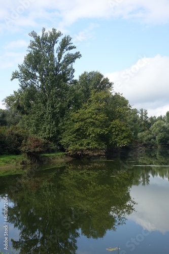 Rhine wetlands Rheinaue at Plittersorfer Altrhein, Plittersdorf, Rastatt, Germany