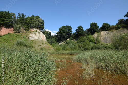 Liether Kalkgrube - Schleswig-Holstein - Deutschland - Grüne Sommerlandschaft