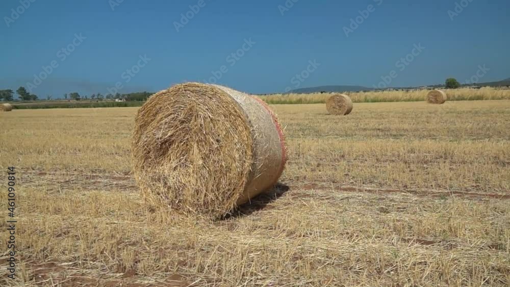 South Italy. Summer 2021. Bales in countryside South Italy. Summer 2021. Bales in countryside