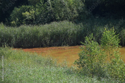 Liether Kalkgrube - Schleswig-Holstein - Deutschland - Grüne Sommerlandschaft