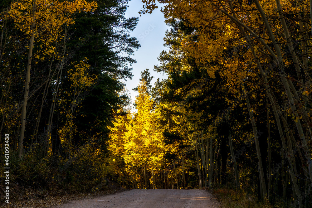 Obraz premium Scenery Autumn landscape in the Rocky Mountains of Colorado - Kenosha Pass