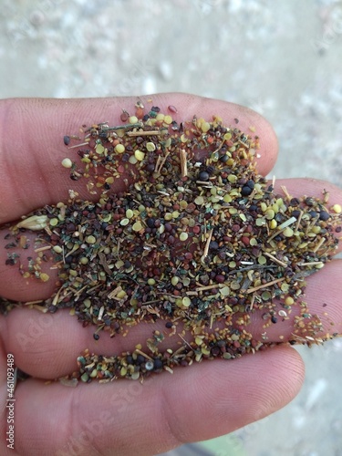 A handful of seeds of various herbs
