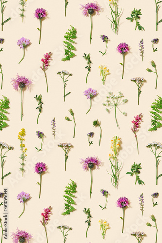 Minimal natural floral background with summer wild flower and grass. Botanical pattern
