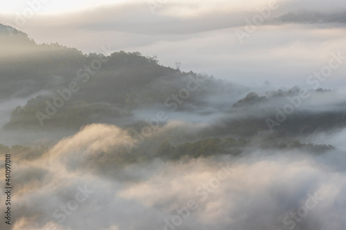 Fog in Morning