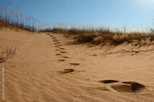 Fototapeta Naklejka Na Ścianę i Meble -  Trail of footprints on sand in desert