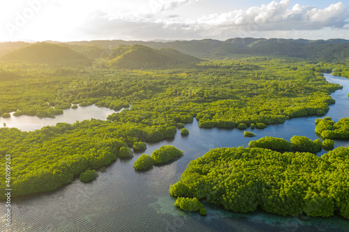 Anavilhanas archipelago, flooded amazonia forest in Negro River, Amazonas, Brazil. Aerial drone view. photo