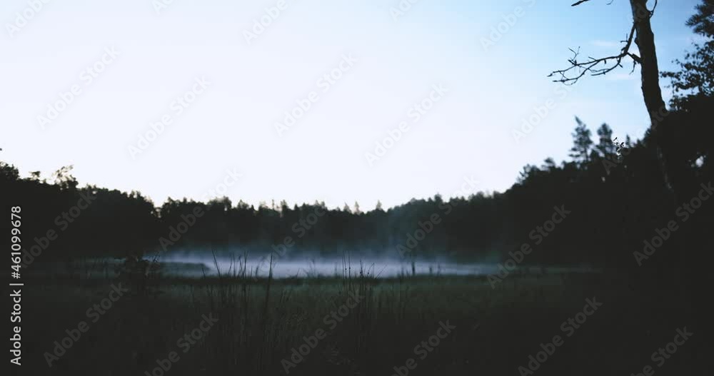 Moody morning by the mysterious foggy forest lake Moody morning by the mysterious foggy forest lake