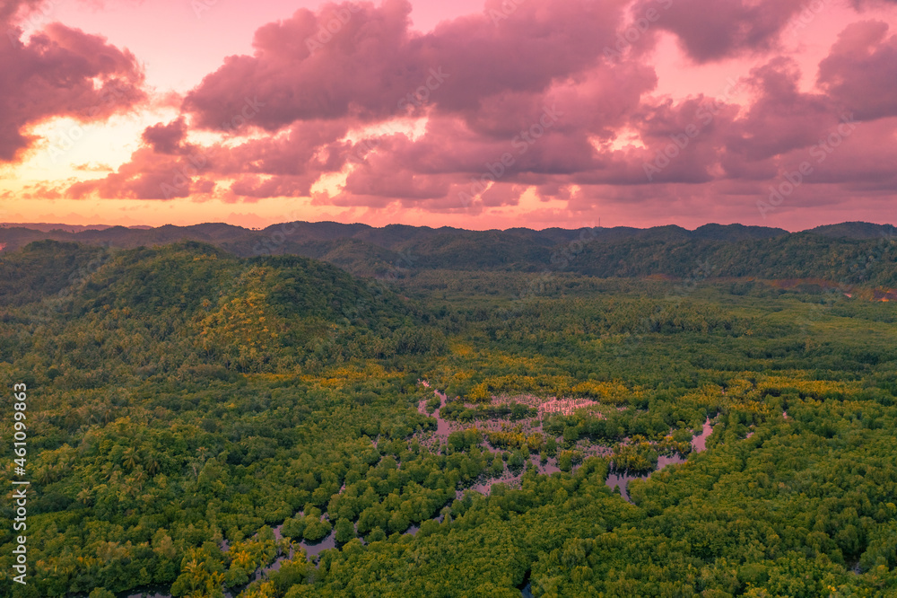Fototapeta premium Flooded amazonian rainforest in Negro River at sunset time, Amazonas, Brazil.