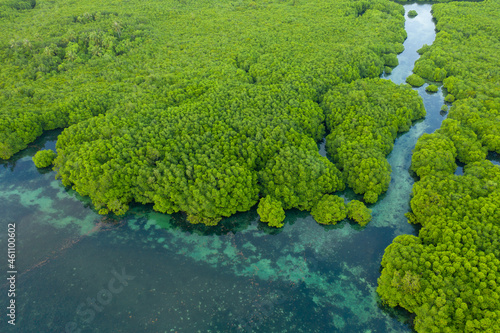 Anavilhanas archipelago, flooded amazonia forest in Negro River, Amazonas, Brazil. Aerial drone view. © Timelapse4K