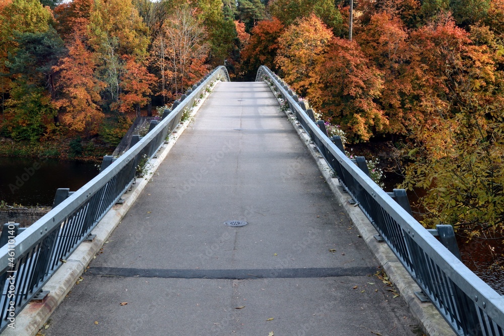 wooden bridge in autumn forest wooden bridge in autumn forest