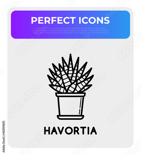 Succulent Haworthia in pot thin line icon. Modern vector illustration of house plant.
