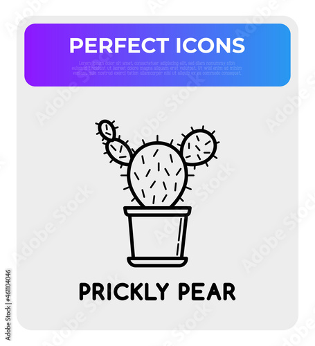 Cactus in pot thin line icon. Modern vector illustration of home plant.