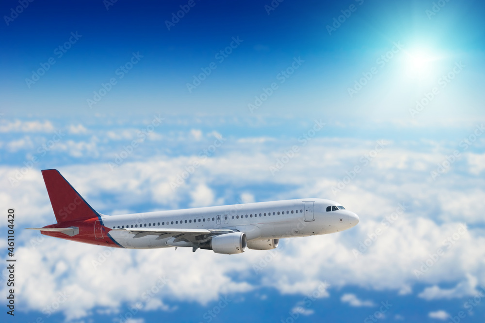 Obraz premium airliner