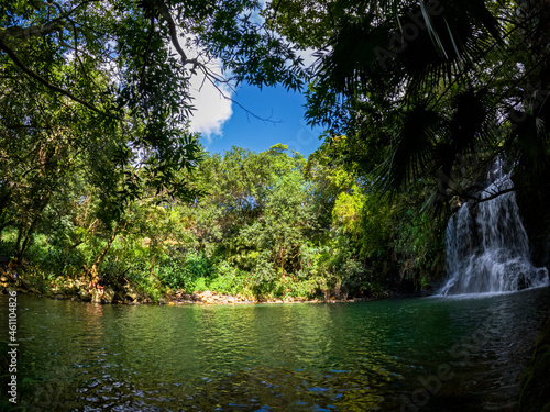 View of a waterfall hidden in a forest located in Mauritius