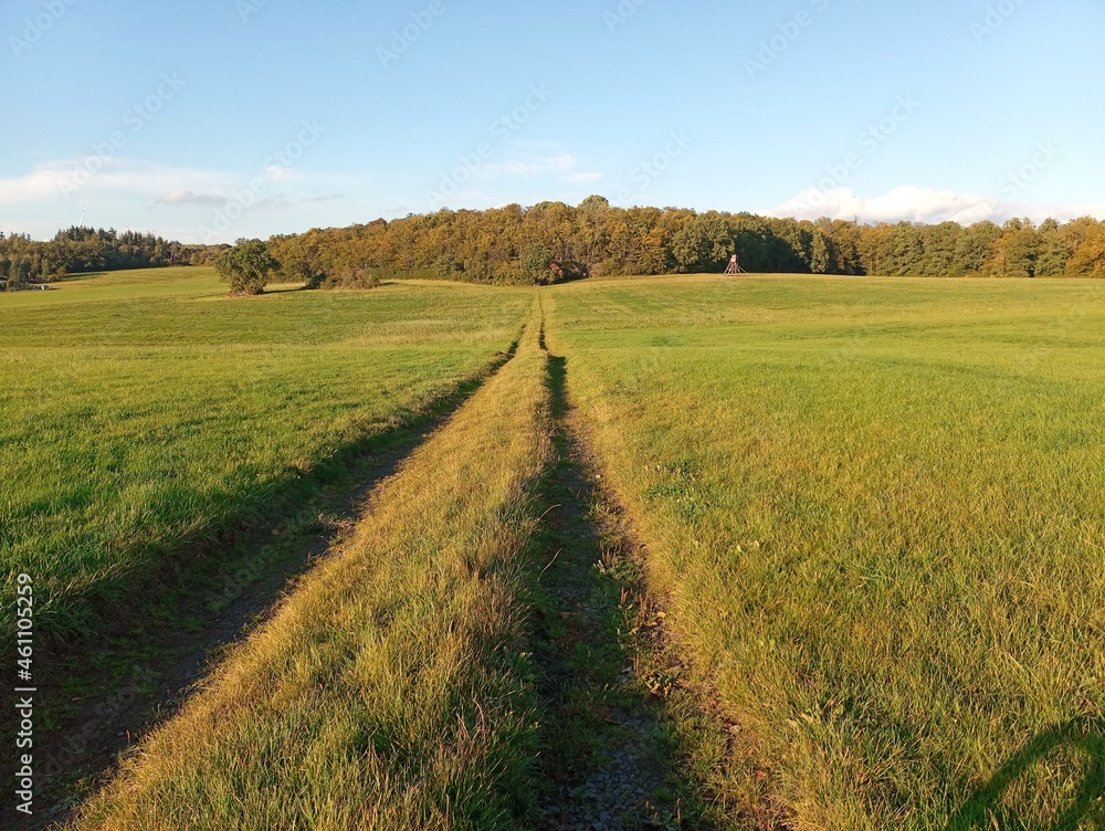 Fototapeta premium Feldweg