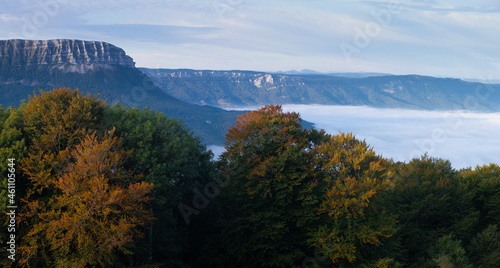 Autumn colors in the beech forests of San Miguel de Aralar, Navarra, Spain © poliki