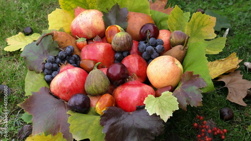 Frutta d'autunno nel cesto, melograno, mele, pere, prugne, ficchi, uva, giuggiole con foglie colorate di vite photo