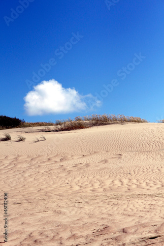 Beautiful landscape with a sand dune and a lonely cloud on the blue sky