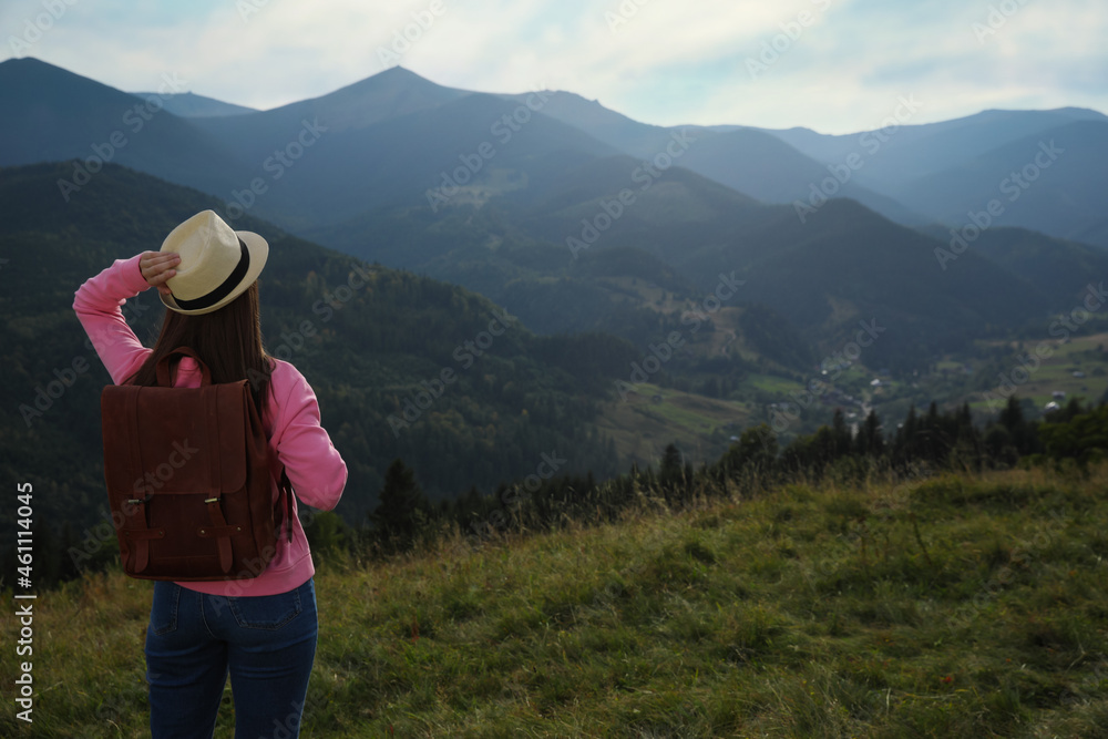 Woman enjoying mountain landscape, back view. Space for text