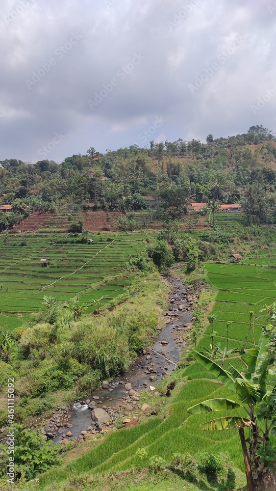 Photo of a small river on a hillside surrounded by rice fields and trees in the Cicalengka area, Indonesia
