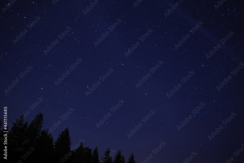 Picturesque view of dark forest and beautiful starry sky at night