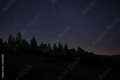 Picturesque view of dark forest and beautiful starry sky at night
