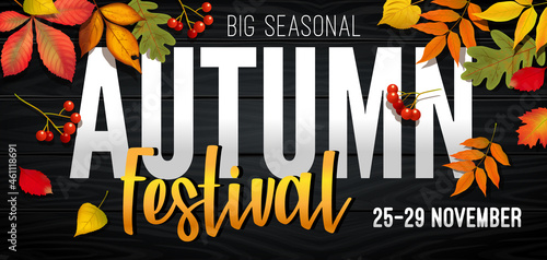 November autumn festival announcement, invitation banner with fallen leaves