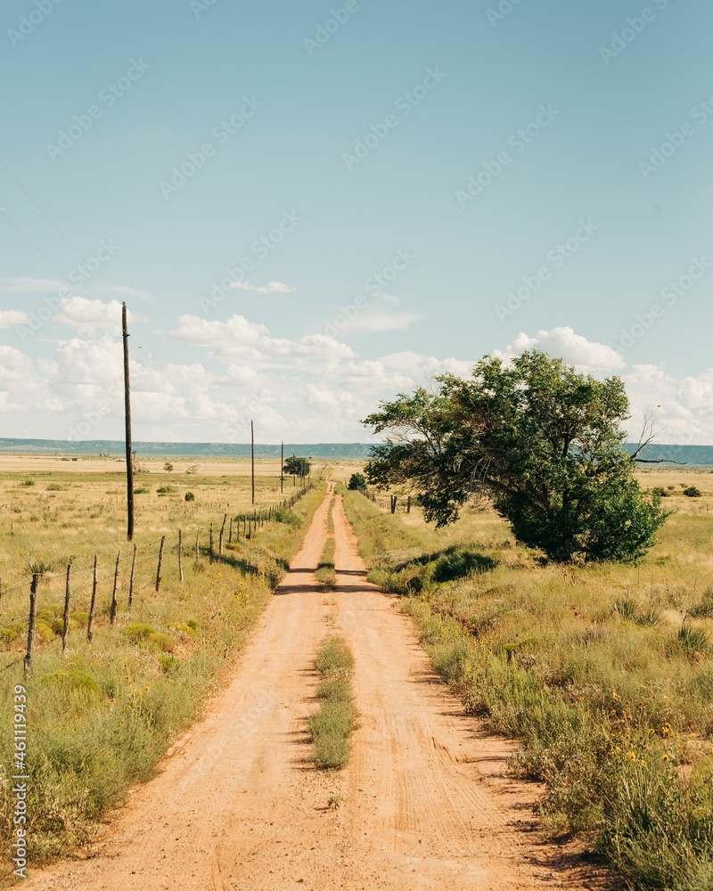 A dirt road near Route 66 in eastern New Mexico
