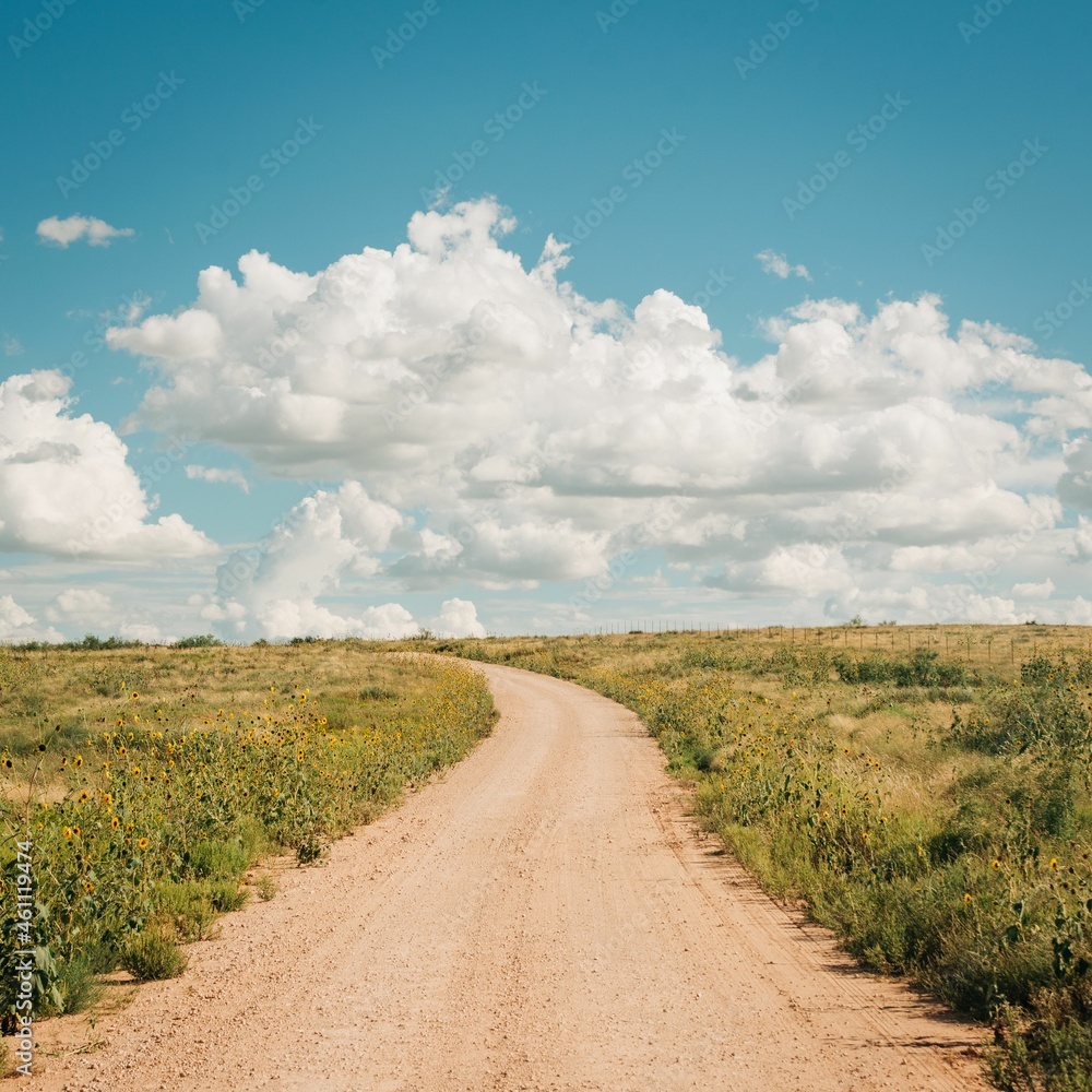 A dirt road near Route 66 in eastern New Mexico